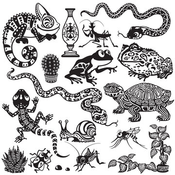 set wit reptiles, amphibians and insects. Cartoon animals of terrarium