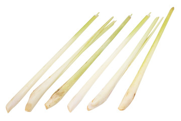 Lemon Grass (Isolated)