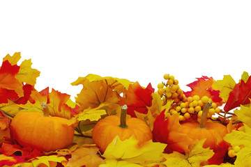 Autumn Leaves and Pumpkins Background