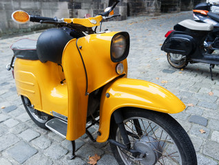 Obraz premium Schwalbe