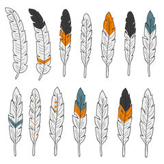 Set of feathers