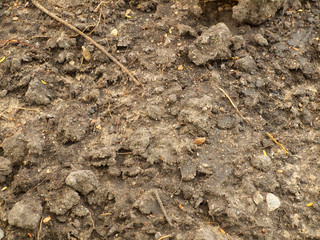Soil surface background