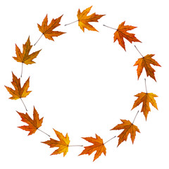 Naklejka na ściany i meble Autumn, fall leaf circle, frame, isolated on white. Seasonal background.