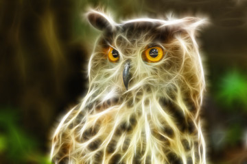 Eagle Owl/An eagle owl