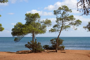 Ostküste Ibiza