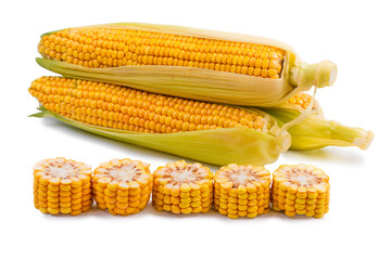 Corn on a white background