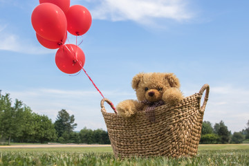 Toy Bear in a Basket with Red Balloons