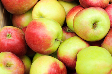 Group of apples