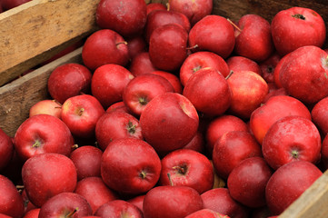 Fototapeta na wymiar Group of red apples in a wooden box