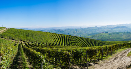 Panoramic view of the Langhe vineyards and hills in autumn