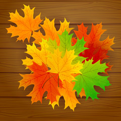 Maple leaves on wooden background