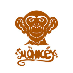 Head of monkey