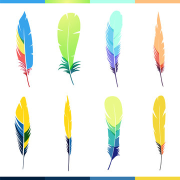 Vector colored feathers set. 