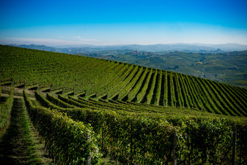 Panoramic view of the Langhe vineyards and hills in autumn