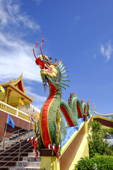 Fototapeta premium Dragon