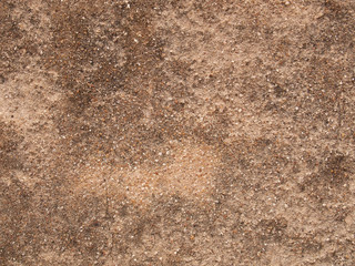 Grunge cement wall