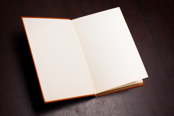 Fototapeta premium Empty open book