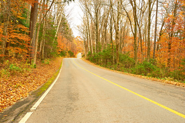 Fototapeta premium Autumn scene with road
