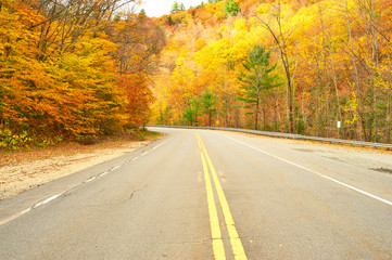 Fototapeta premium Autumn scene with road