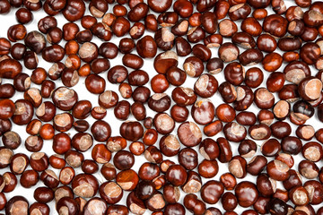 Close-up of chestnuts