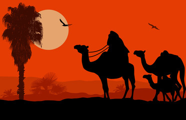 Camel caravan at sunset