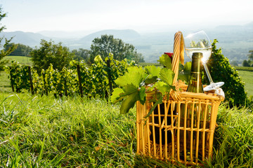 Basket with bottles and glass of white wine in the vineyards