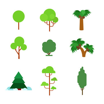 Flora plant green trees vector flat icon: pine fir palm spruce