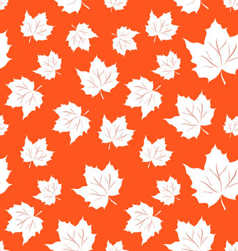 Seamless Pattern of Maple Leaves