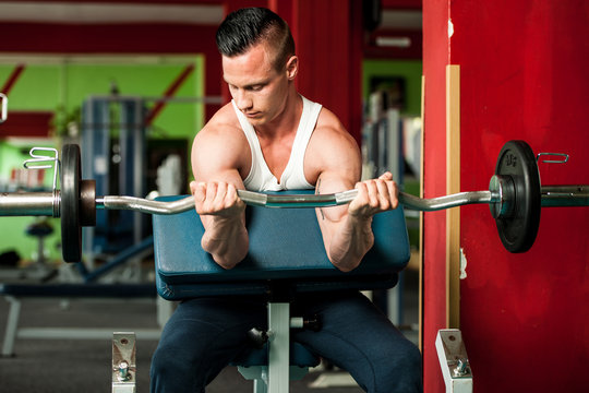 phisique fitness competitor works out in gym lifting dumbbells