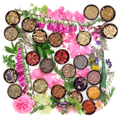 Medicinal Herbs and Flowers