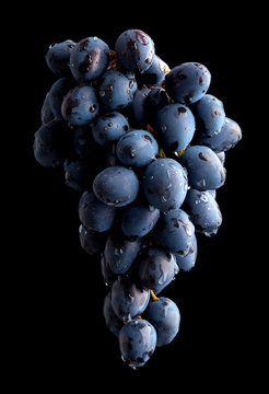 Branch of wet grape over black background
