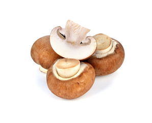 Mushrooms isolated on white background