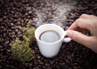 Cannabis coffee. Hand grabbing an ear cup of hot espresso as beside cannabis buds lay on many roasted coffee beans.