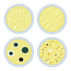 four petri dishes with different microbiological cultures grown