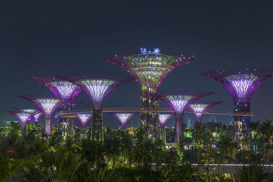 Gardens by the Bay in Singapore
