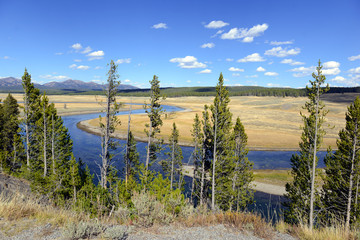 Hayden Valley and the Yellowstone River, Yellowstone National Park, Wyoming, USA