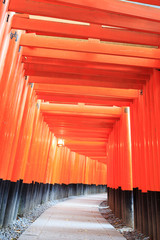 Tori of Fushimi Inari Taisha Shrine in Kyoto, Japan