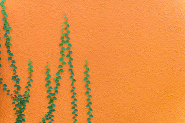 green leaves on orange wall textured for background