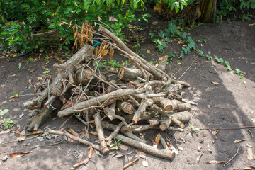 An image of a lot of pyre, woodpile, pyre from mango tree.