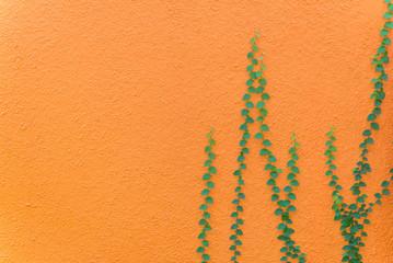 green leaves on orange wall textured for background