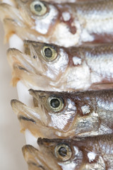 シシャモの干物