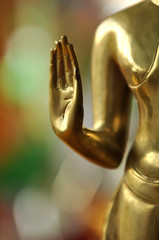 Hand of Buddha Asia