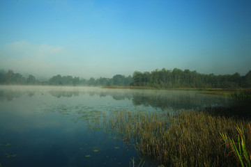 Fototapeta na wymiar Summer landscape at the lake