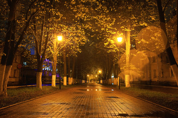 alley autumn city landscape night rain