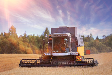 Fototapeta premium tractor in a field to harvest