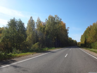 Fototapeta premium Автомобильная трасса в окружении желтых и зелёных деревьев осенним солнечным днем