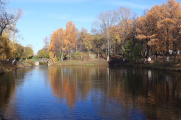 Fototapeta na wymiar leaf fall in autumn park landscape
