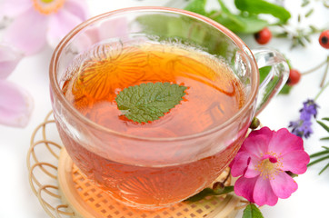tea with herbs in white background