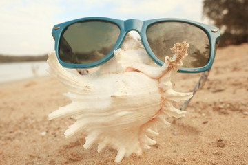 Fototapeta na wymiar sunglasses on a sandy beach concept Summer