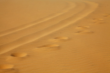 Footprints on the sand